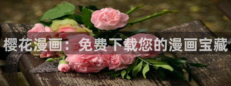 樱花视频高清视频