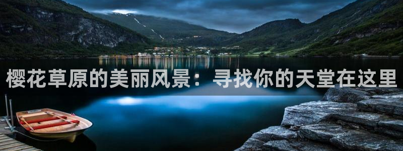 樱花视频免费观看电视剧高清版