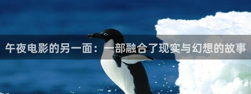 星空无限传媒免费高清观看