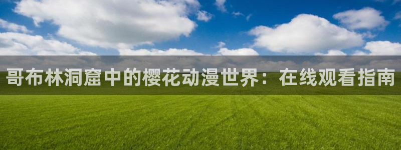 星空影业有限公司