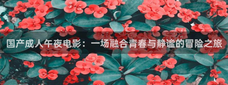 星空影视剧