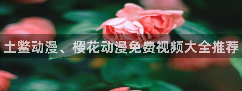 樱花视频在线免费电影完整版