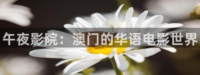星空电影网站在线观看完整