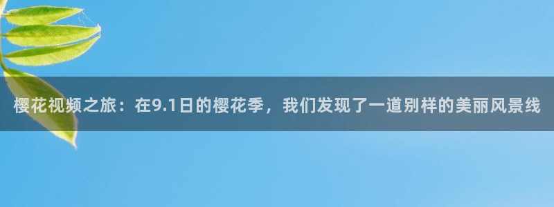 樱花视频在线观看电视剧全集高清