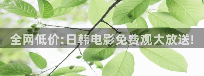樱花视频免费观看在线观看