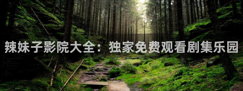 星空电影城影讯宿州