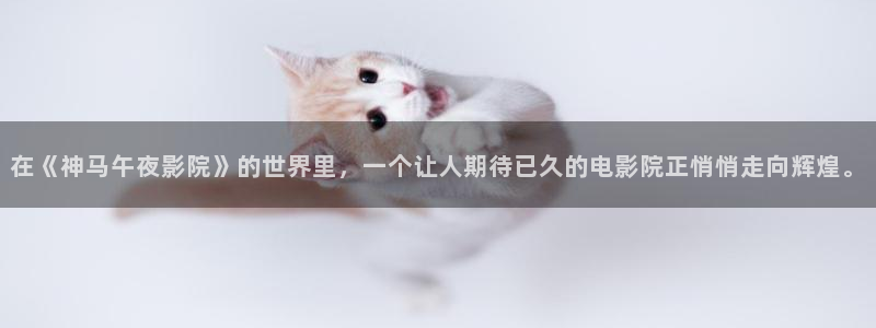 樱花视频免费观看在线高清下载