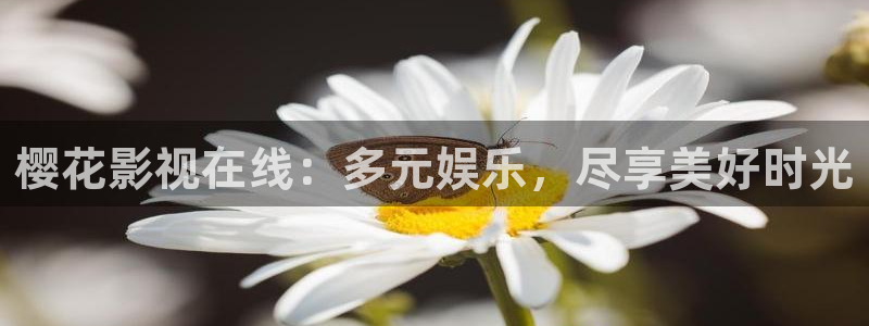 星空盒子好看电影