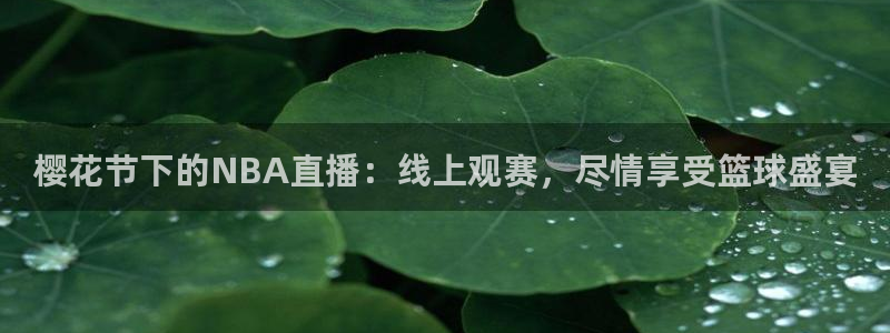 星空mv高清免费播放在线观看
