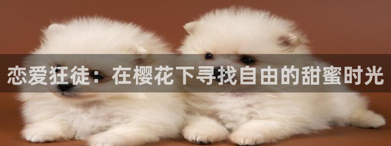 樱花视频免费看电视剧
