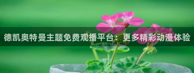亮剑樱花视频免费观看