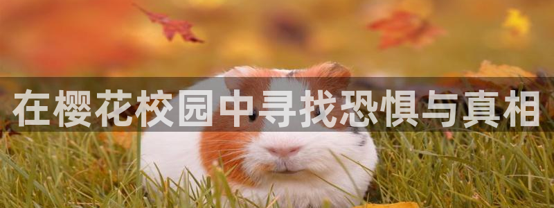 樱花视频免费观看