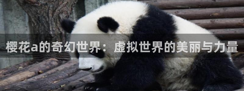 樱花视频在线播放免费完整版