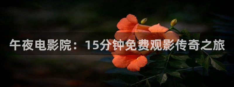 天美传奇星空高清免费
