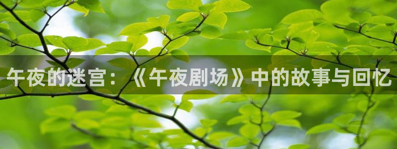 星空影视在线观看全集免费高清